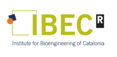 IBEC
